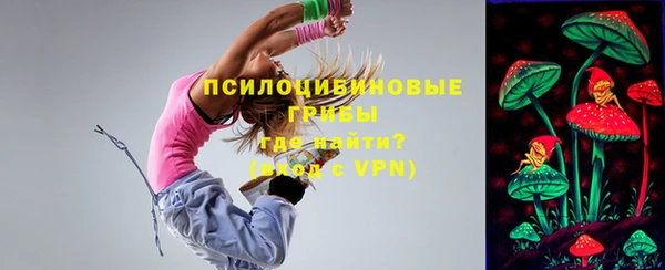 дмт Алзамай