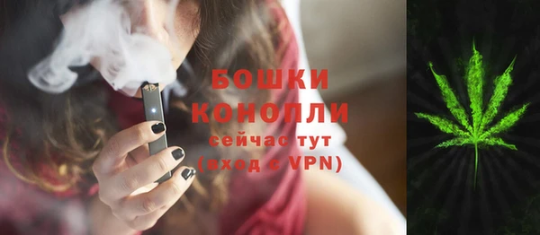 дмт Алзамай