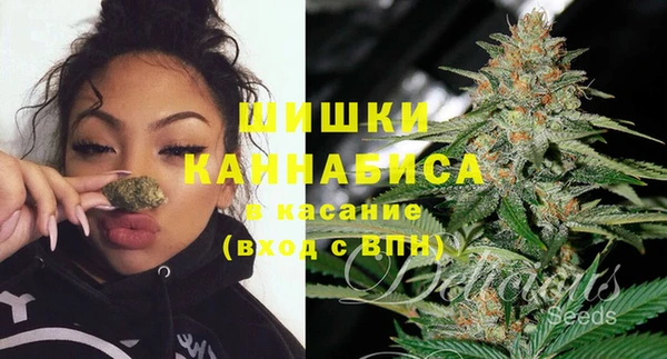 дмт Алзамай