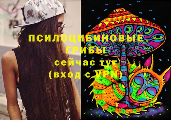 прущая мука Лагань