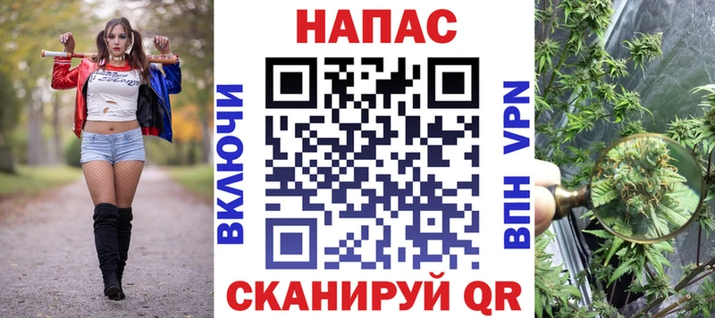 OMG маркетплейс  Пошехонье  Бошки Шишки конопля 